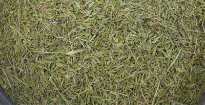 Zahterin Faydaları Nelerdir?