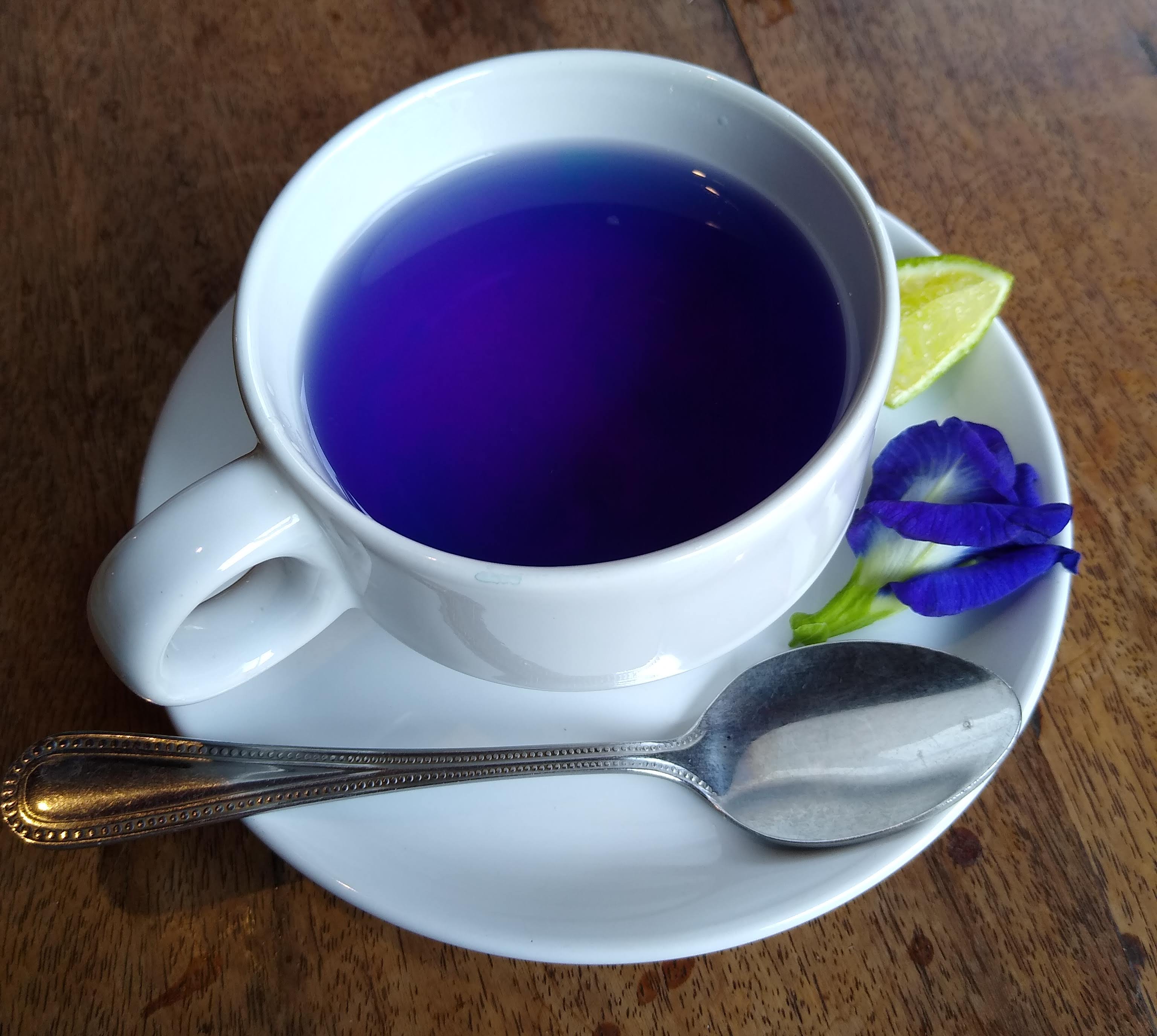 butterfly-pea-flower-tea-2.jpg